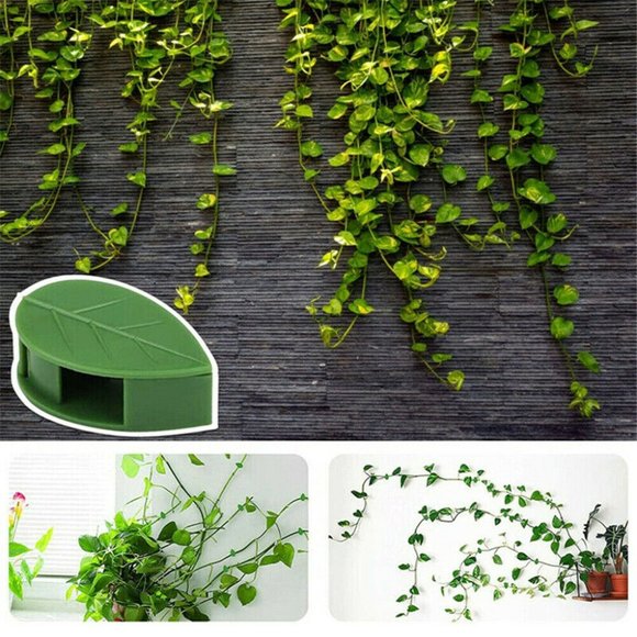 10 pc Leaf shaped sticky clips to hold your climbing plants in style - Picture 9 of 15